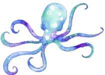 octopus